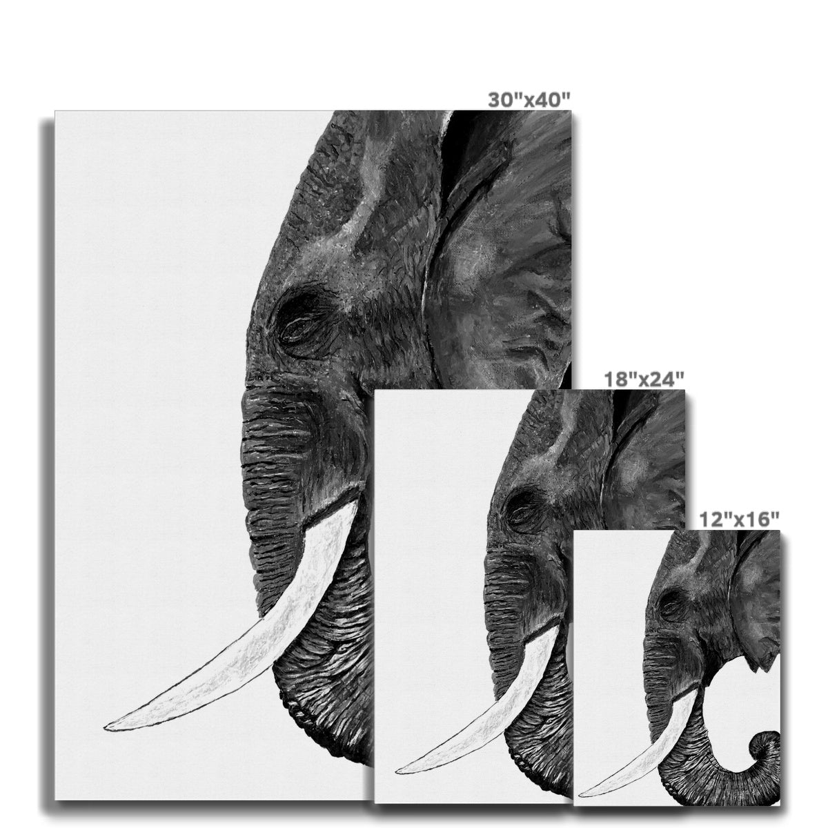 Elephant| Giclée Canvas Print Canvas Canvas