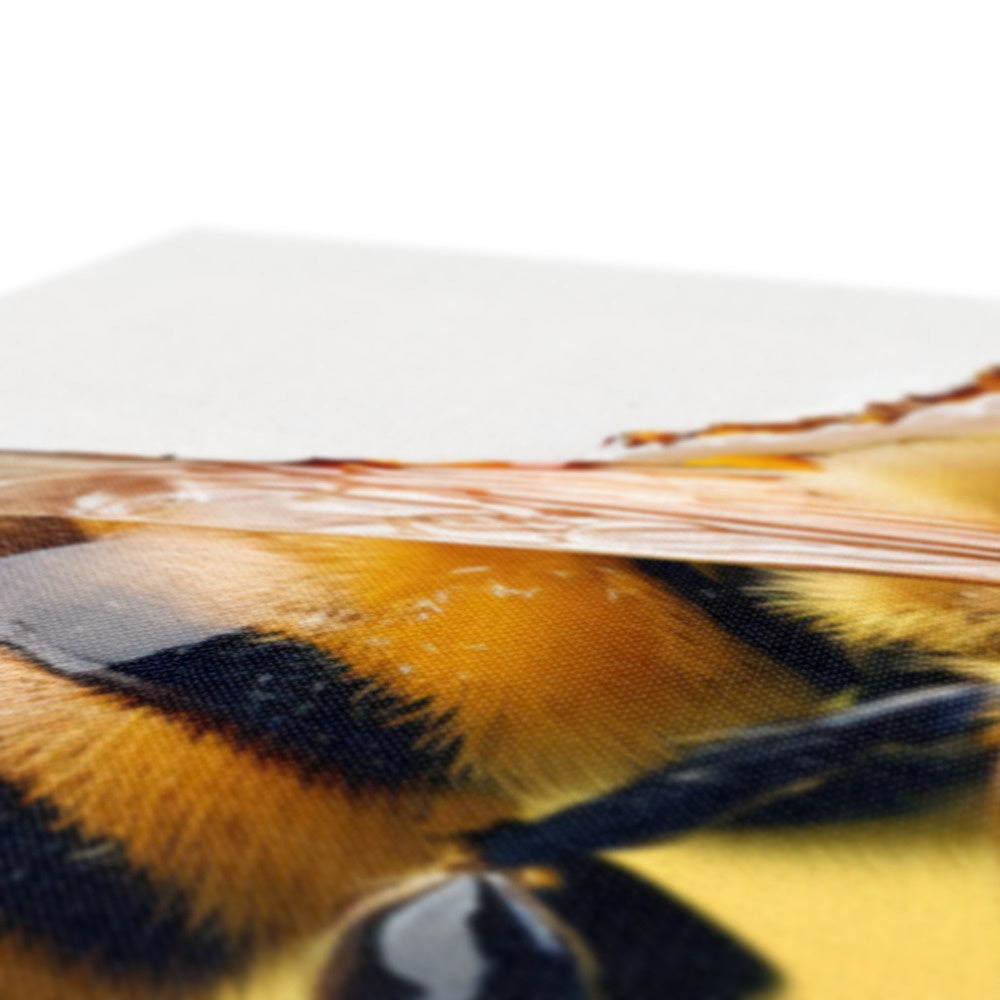 Sweet buzz Canvas- Limited edition Printt