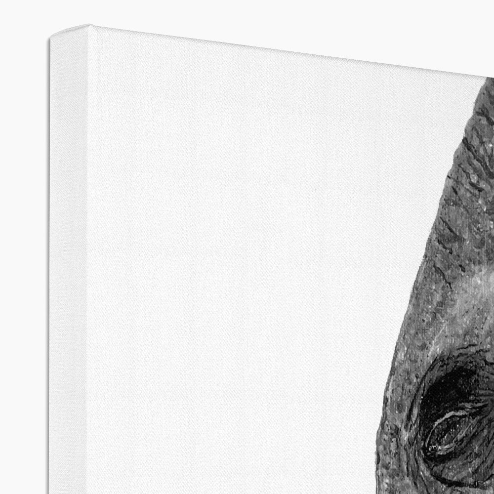Elephant| Giclée Canvas Print Canvas Canvas