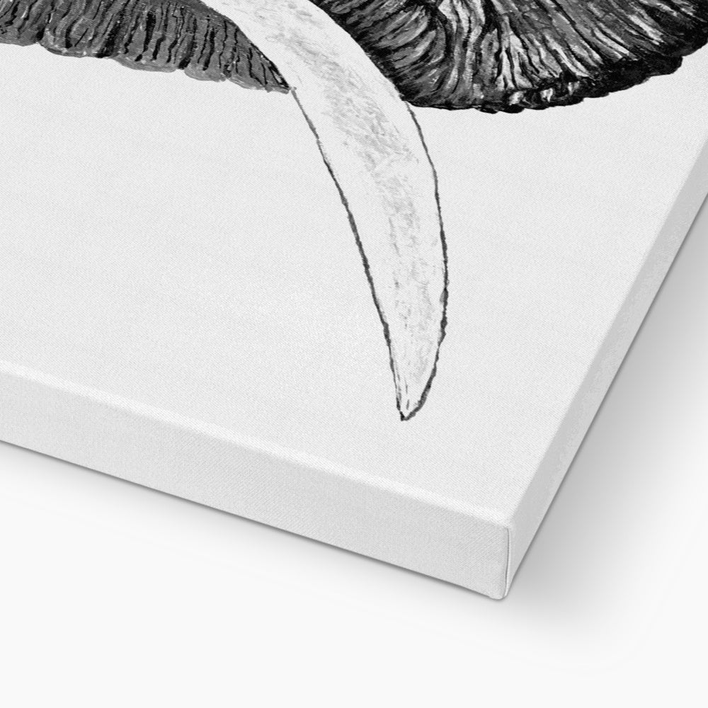Elephant| Giclée Canvas Print Canvas Canvas