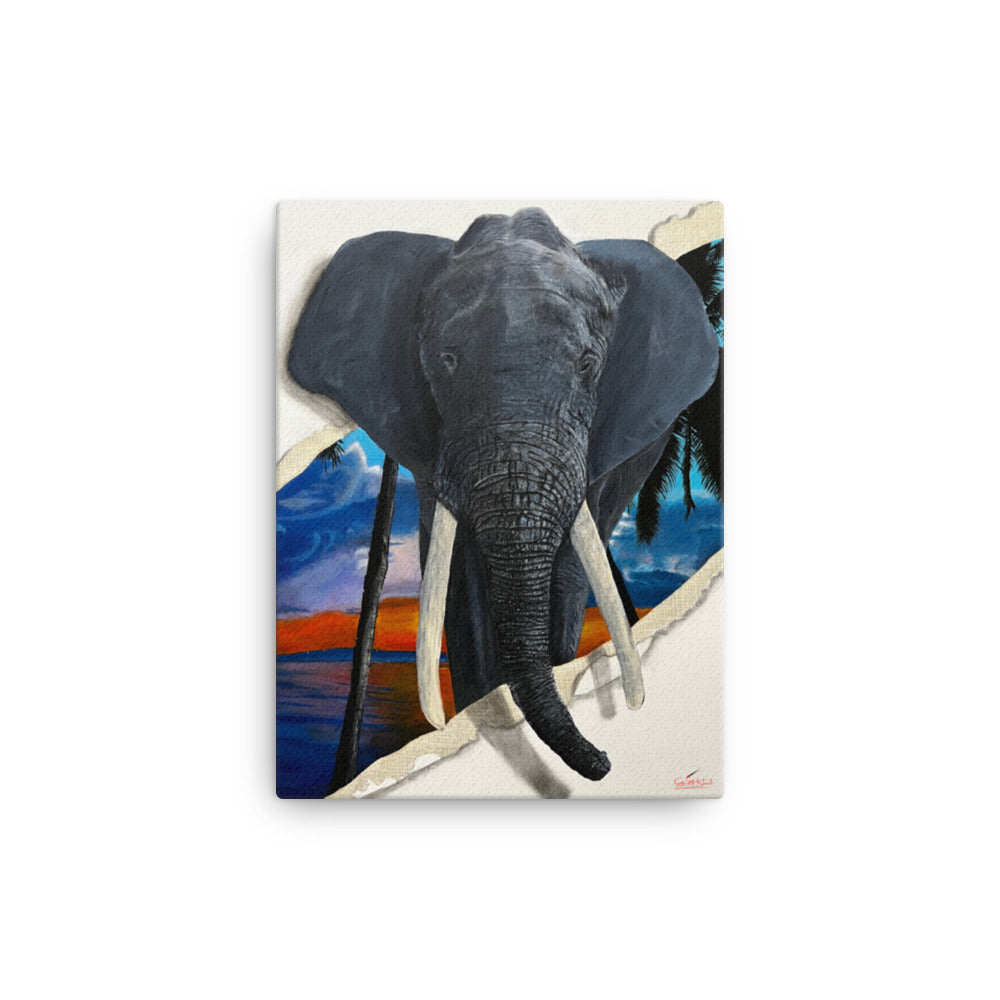 "Never forget Paradise" Limited edition Print