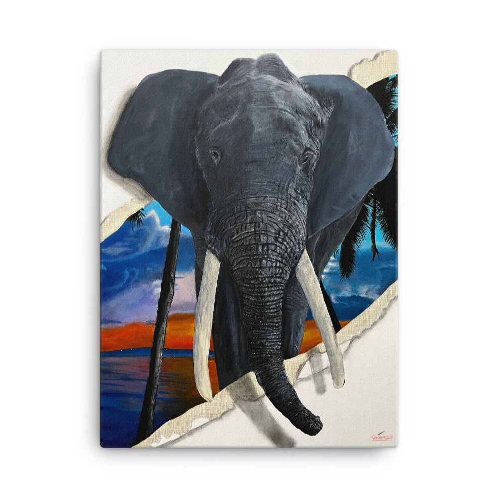 "Never forget Paradise" Limited edition Print
