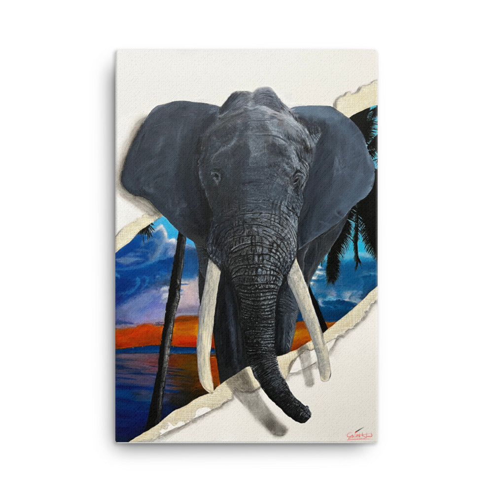 "Never forget Paradise" Limited edition Print