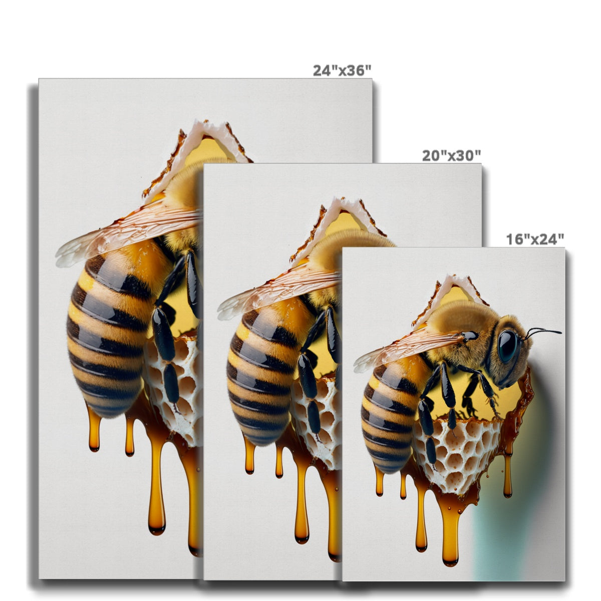 Sweet buzz Canvas- Limited edition Printt